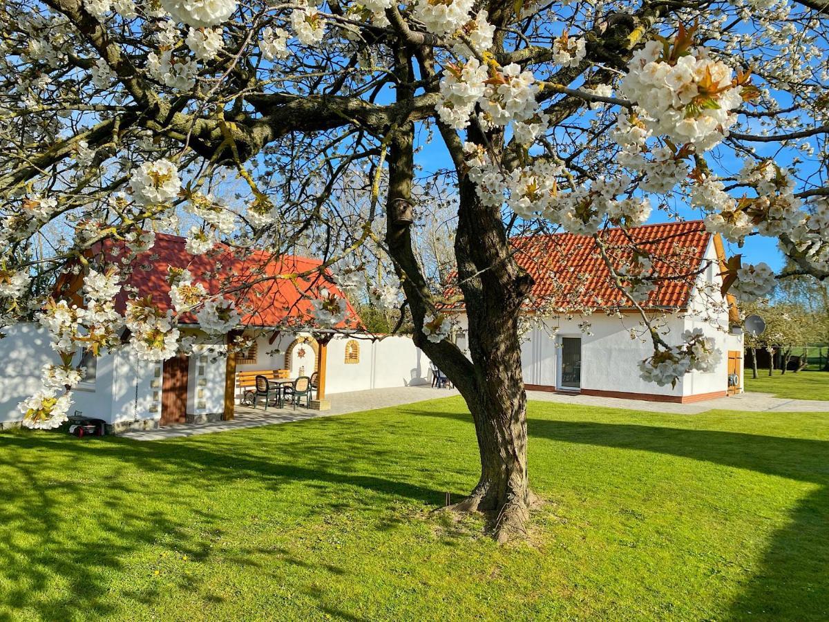 Ferienhaus Berta Sassnitz Zewnętrze zdjęcie